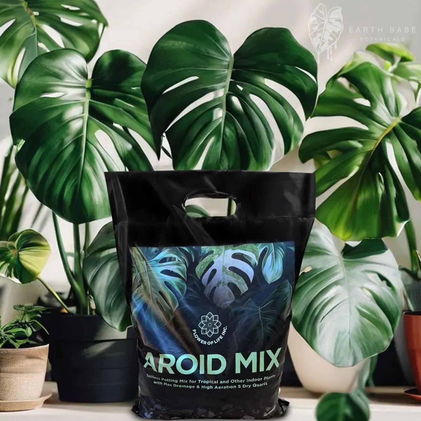 Tropical Aroid Mix with Leca Chunky Medium Mix Soilless Grow for Monstera Albos, Philodendron, Orchids, Hoya