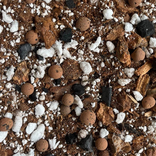 Tropical Aroid Mix with Leca Chunky Medium Mix Soilless Grow for Monstera Albos, Philodendron, Orchids, Hoya