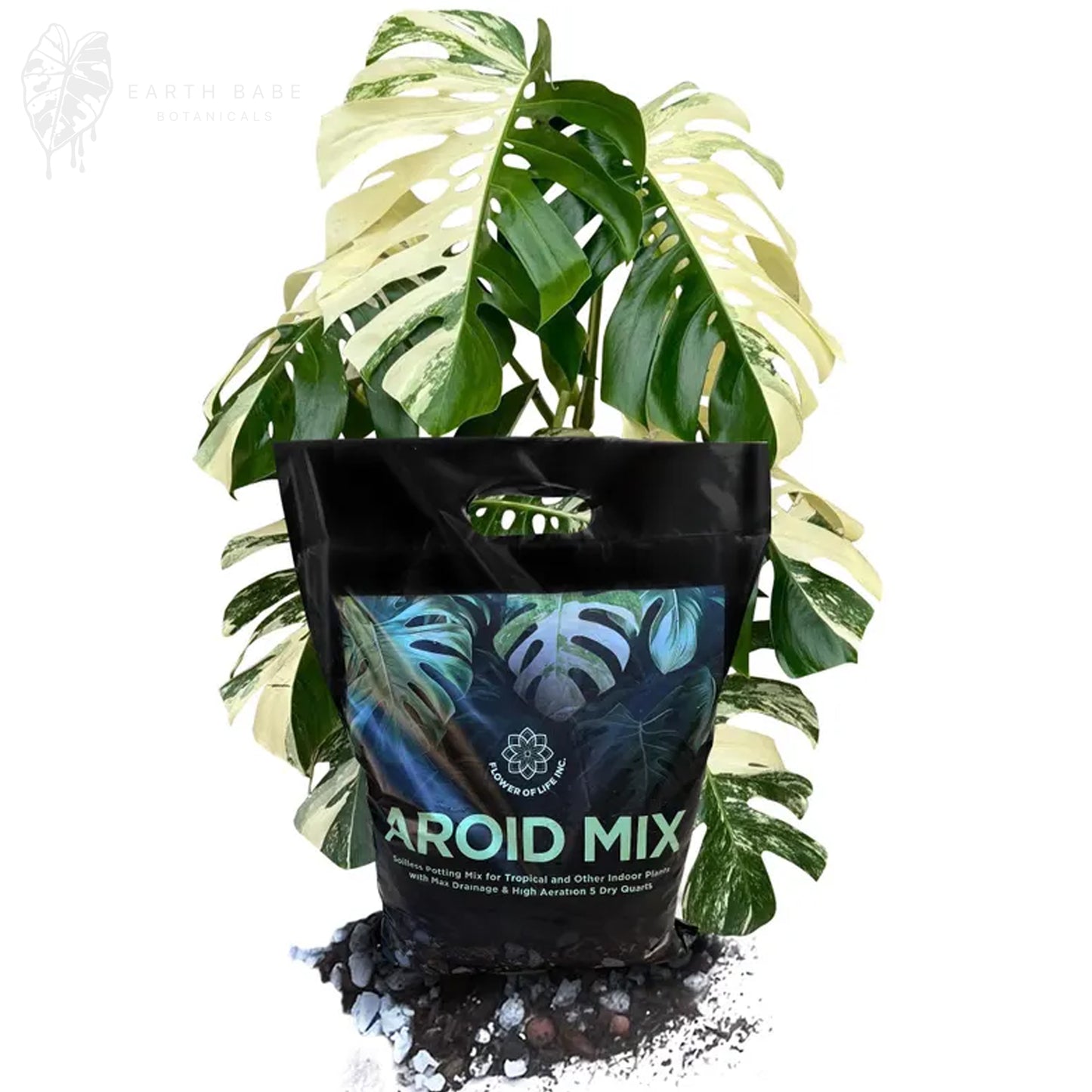 Tropical Aroid Mix with Leca Chunky Medium Mix Soilless Grow for Monstera Albos, Philodendron, Orchids, Hoya